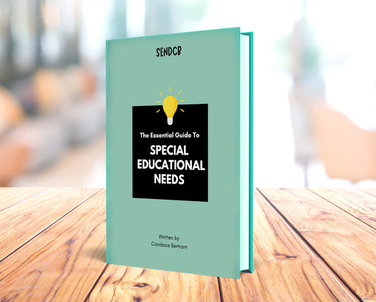 THE ESSENTIAL GUIDE TO SPECIAL EDUCATIONAL NEEDS BY CANDACE BERTRAM