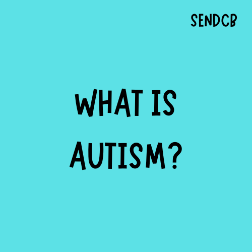 WHAT IS AUTISM?